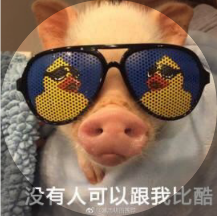 图标