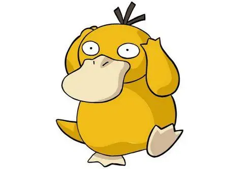 Duck