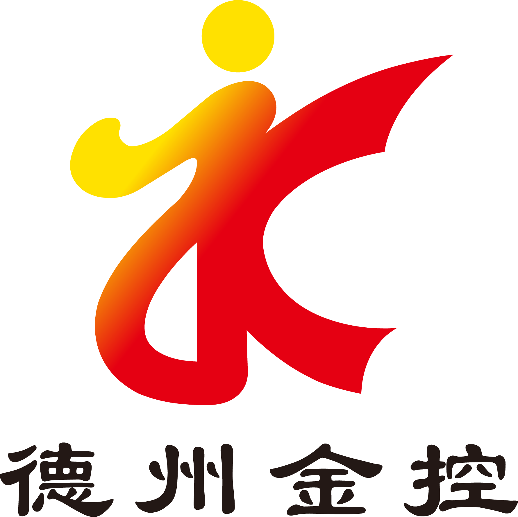 德州市金德投资控股集团有限公司