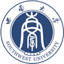 图标