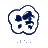 XiaoLei
