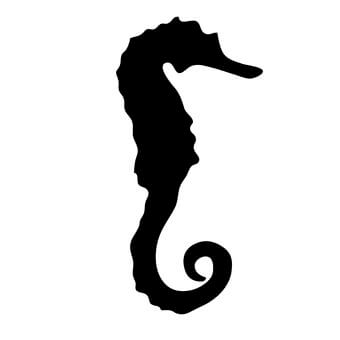 骑猪看月亮
