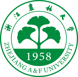 图标