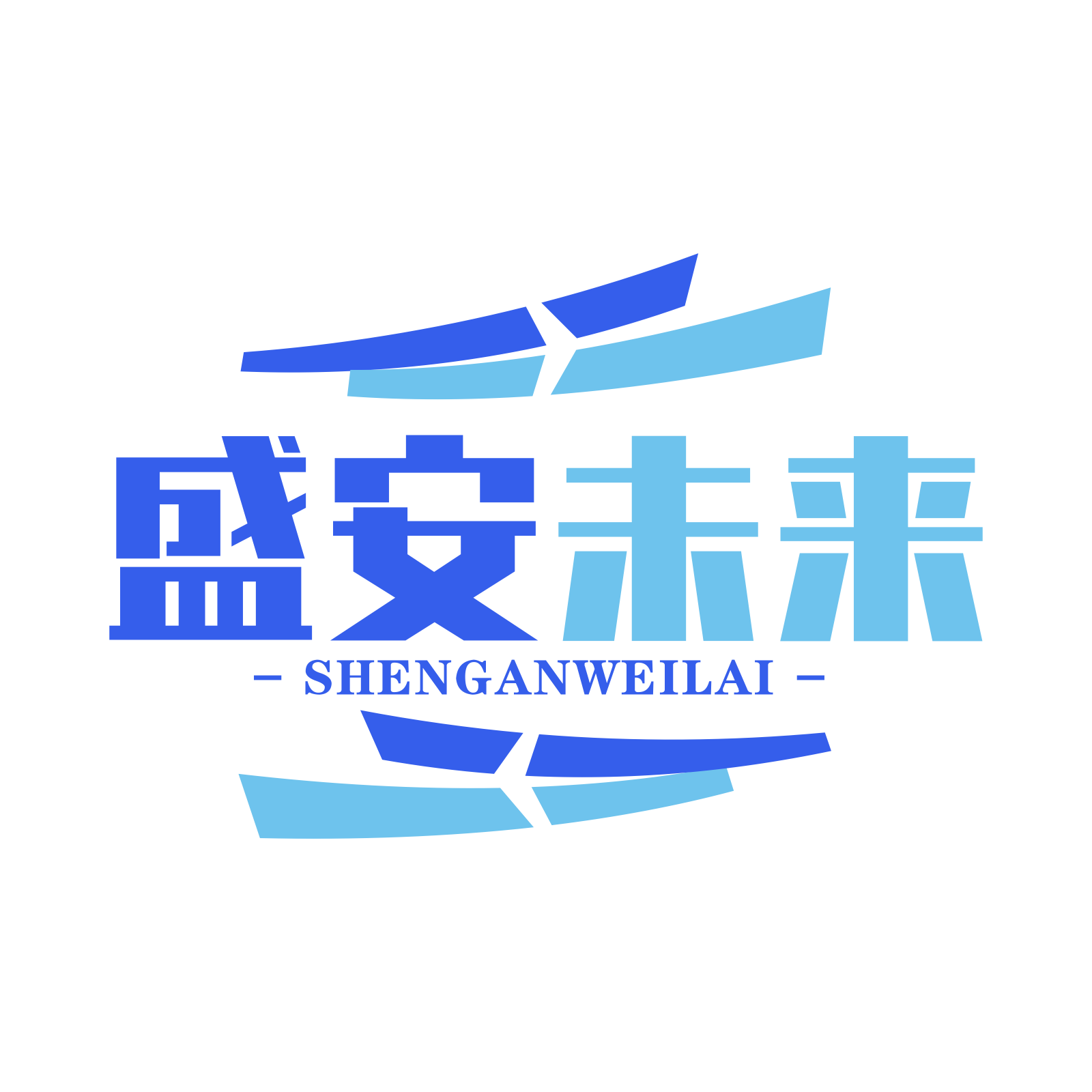 盛安未来（北京）科技有限公司