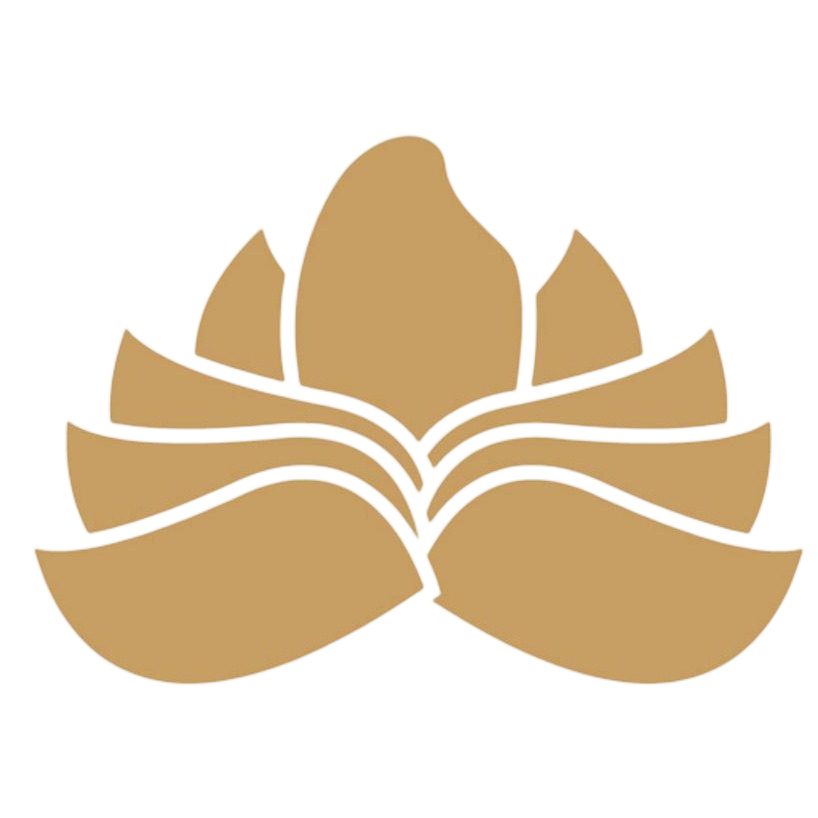 河南卢米网络科技有限公司