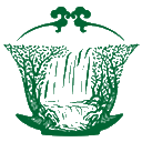 安顺瀑布茶