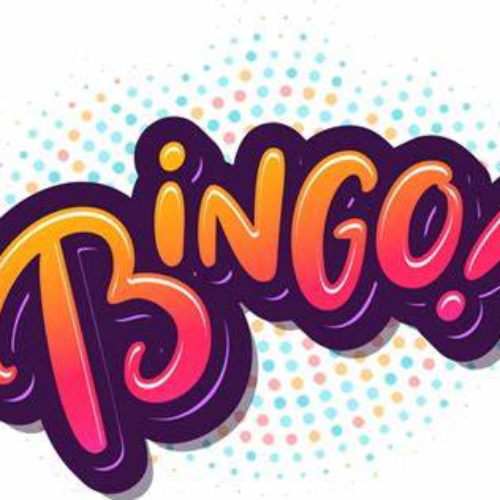 bingo教育