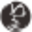 Blackant