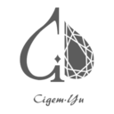 Cigem