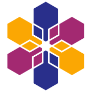 企业信息系统技术领导者