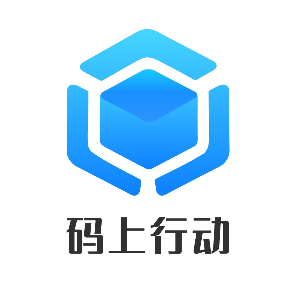 湖南码上行动科技有限公司