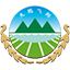 大鹏飞翔国际集团