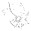 www.dea
