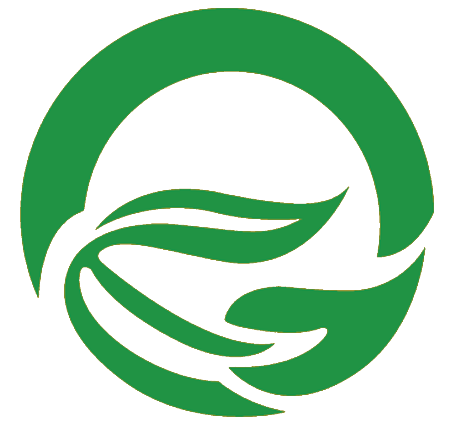 首页