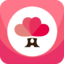 婚点点app