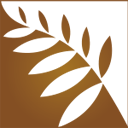 三元Neo新境