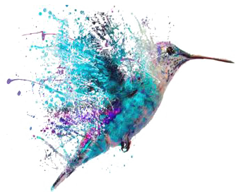 青鸟号
