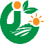 首页