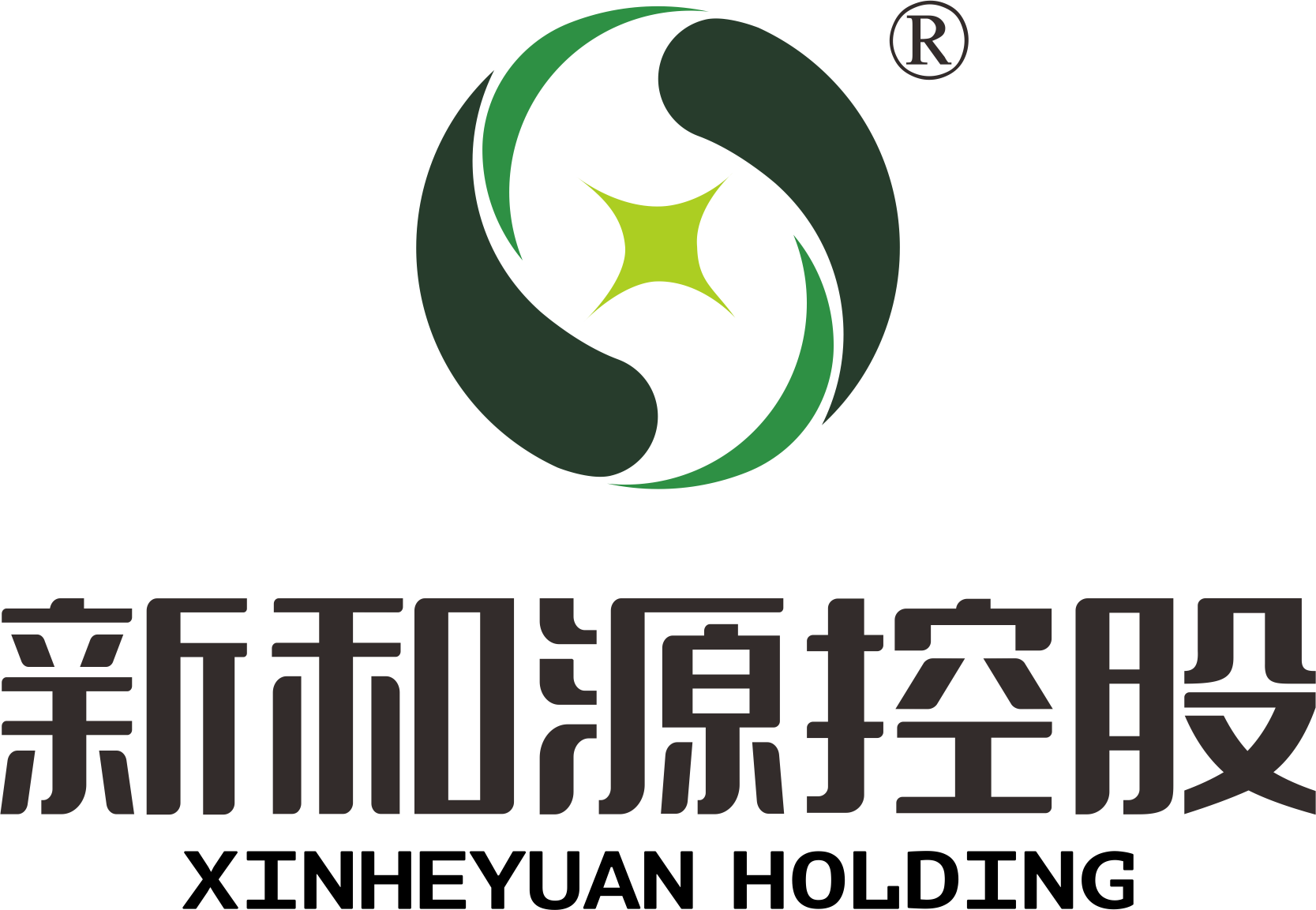 江西新和源投资控股集团有限公司