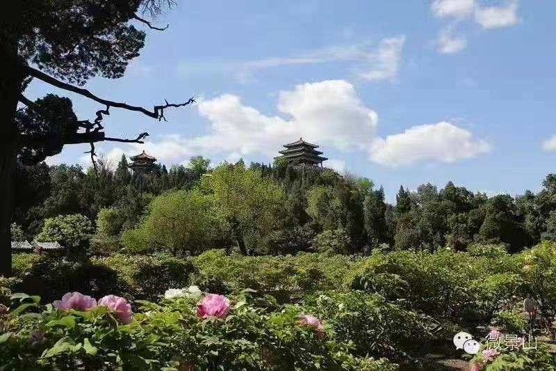 图标