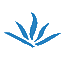 龙凤珠宝官方网站