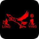 图标