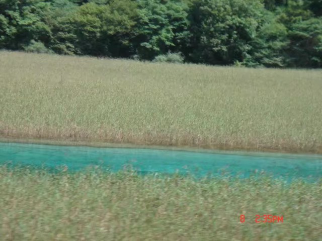 首页