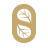 欧笙