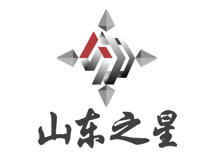 山东之星发电设备有限公司