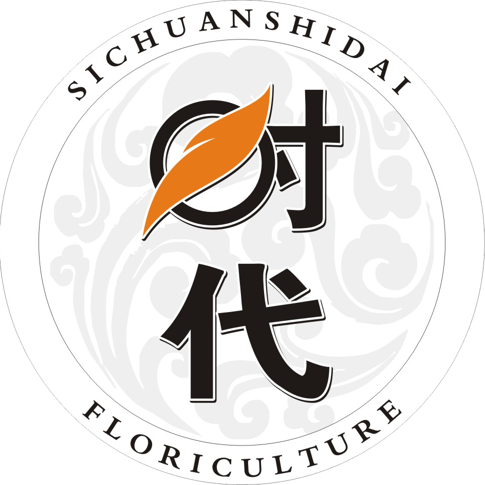 成都花艺培训
