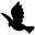 善择留学