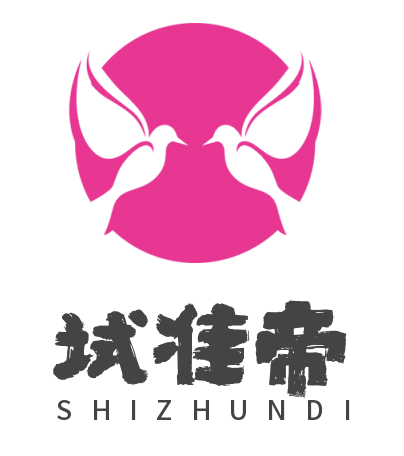 试准帝官网
