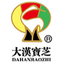 大汉灵芝