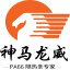 中国神马