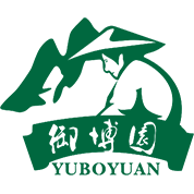 网站首页