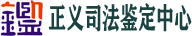 图标