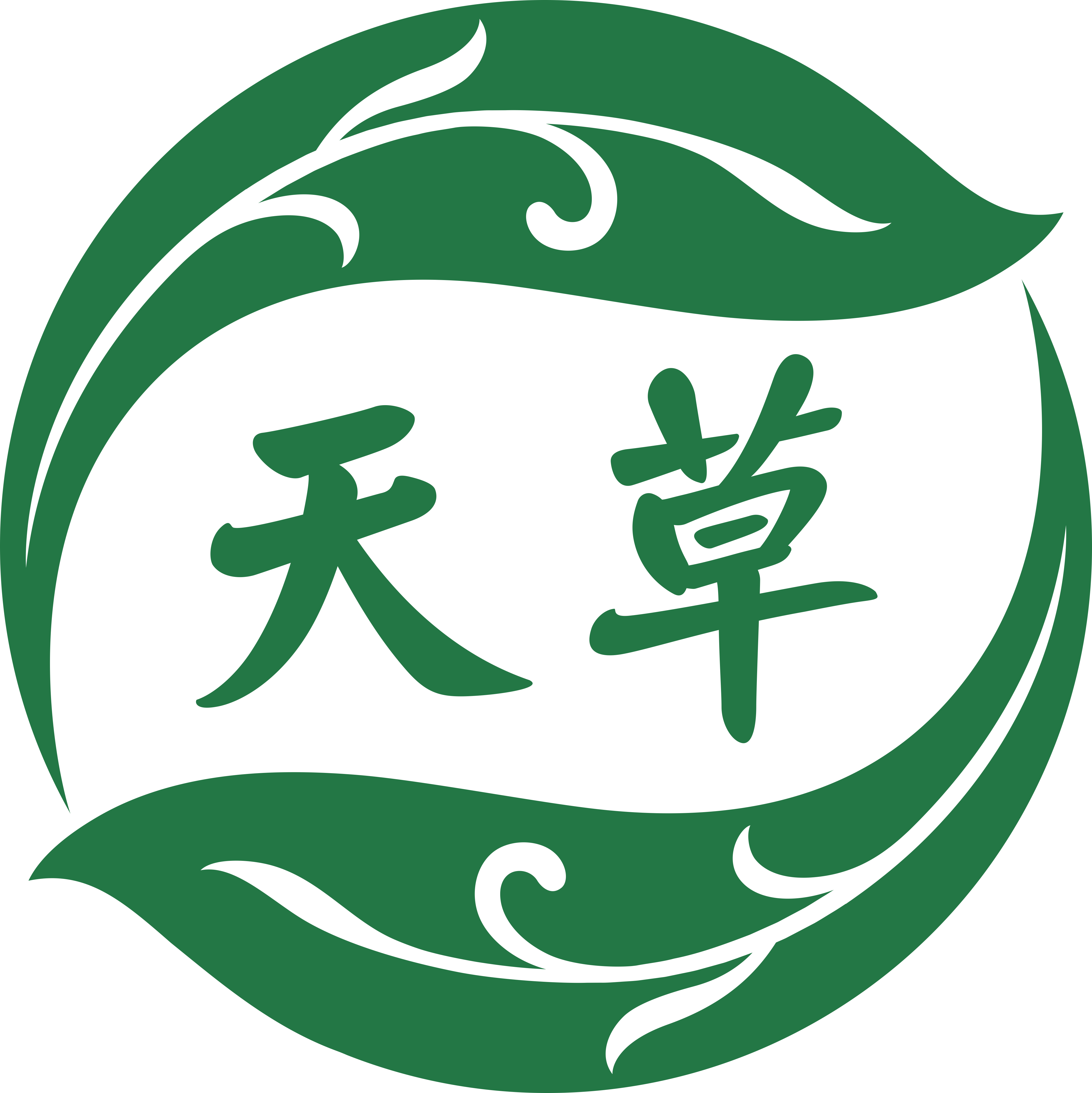 丹参保心茶