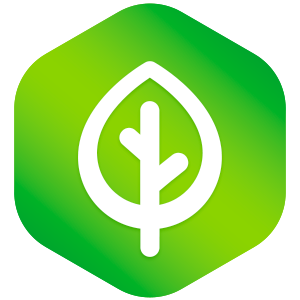tz