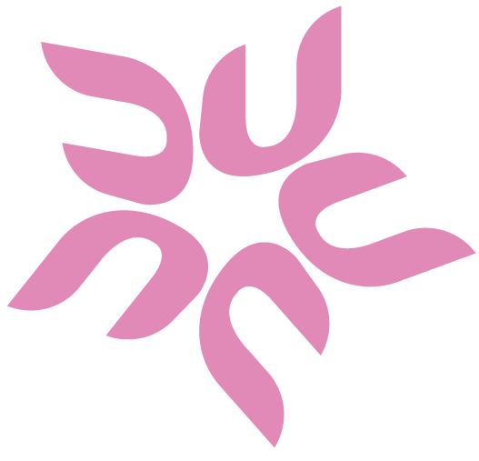 辉大科技