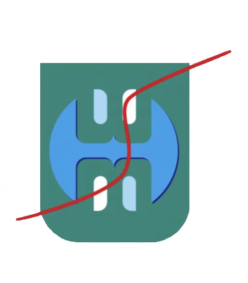 青岛威麦斯科技有限公司