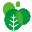guanyang