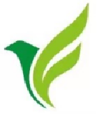 河南新纪缘网络科技有限公司