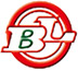 图标