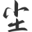 岸尘网