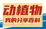 _我的植物知识分享