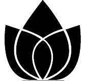 官方网站