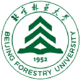 图标