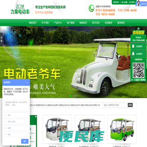 湖南电动观光车