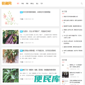 锐角网
