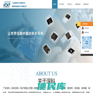 广东深科（深圳深科）电子有限公司